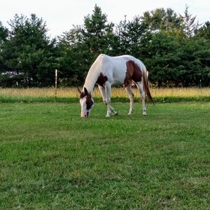 Meet your Posher, Melissa